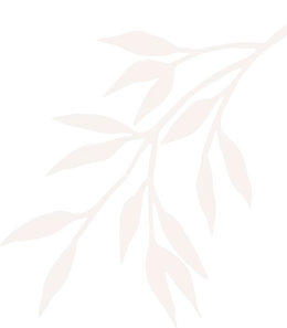 shape