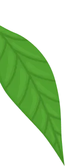 shape
